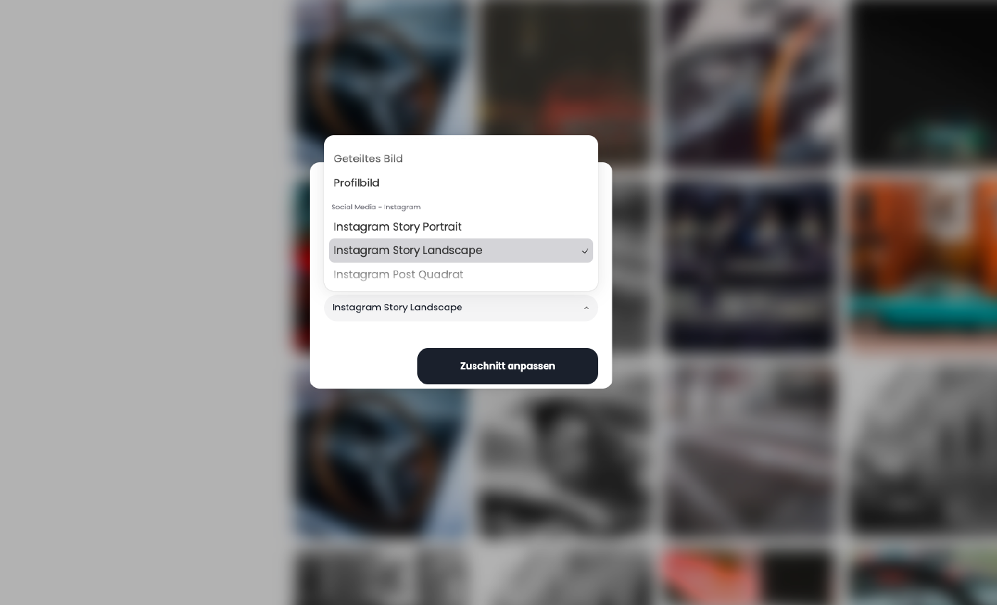 Download im richtigen Social Media Format in VAULO