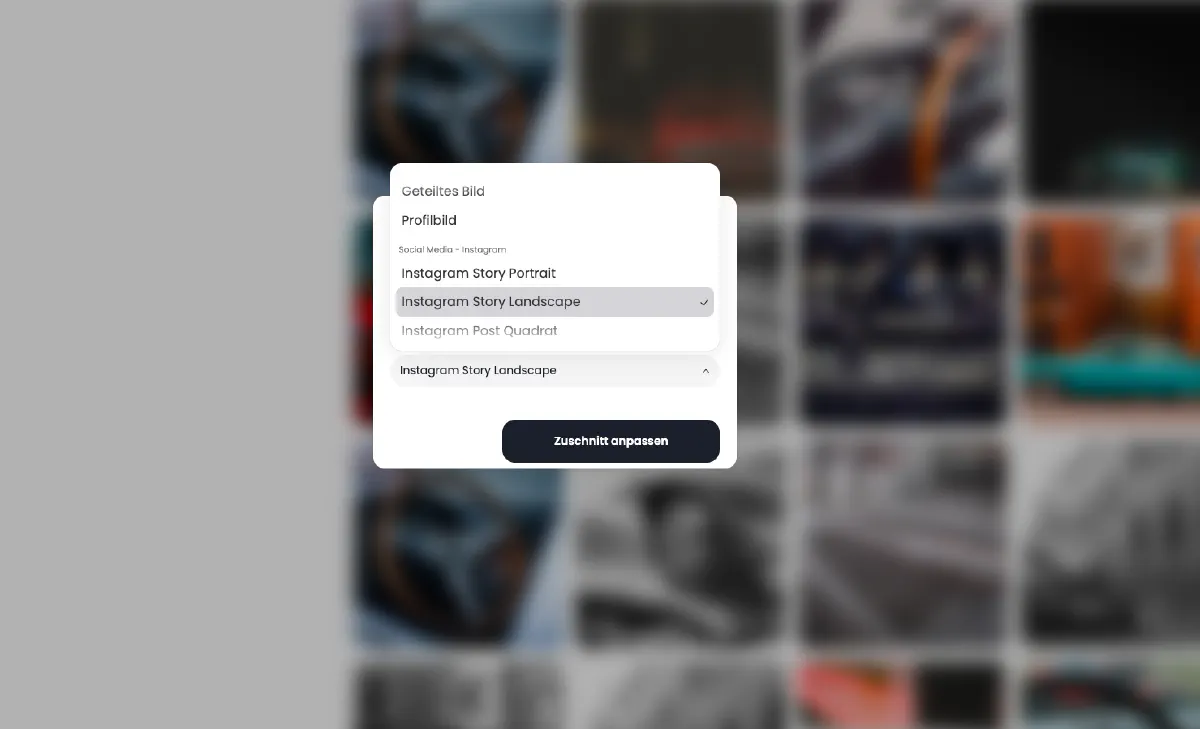 Download im richtigen Social Media Format in VAULO