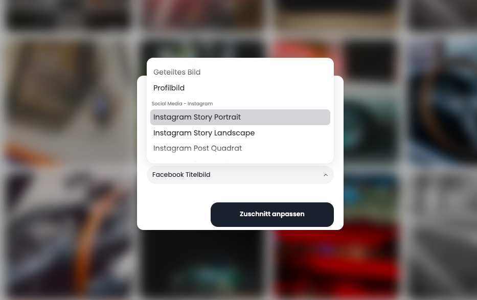 VAULO Grid-Ansicht individualisieren